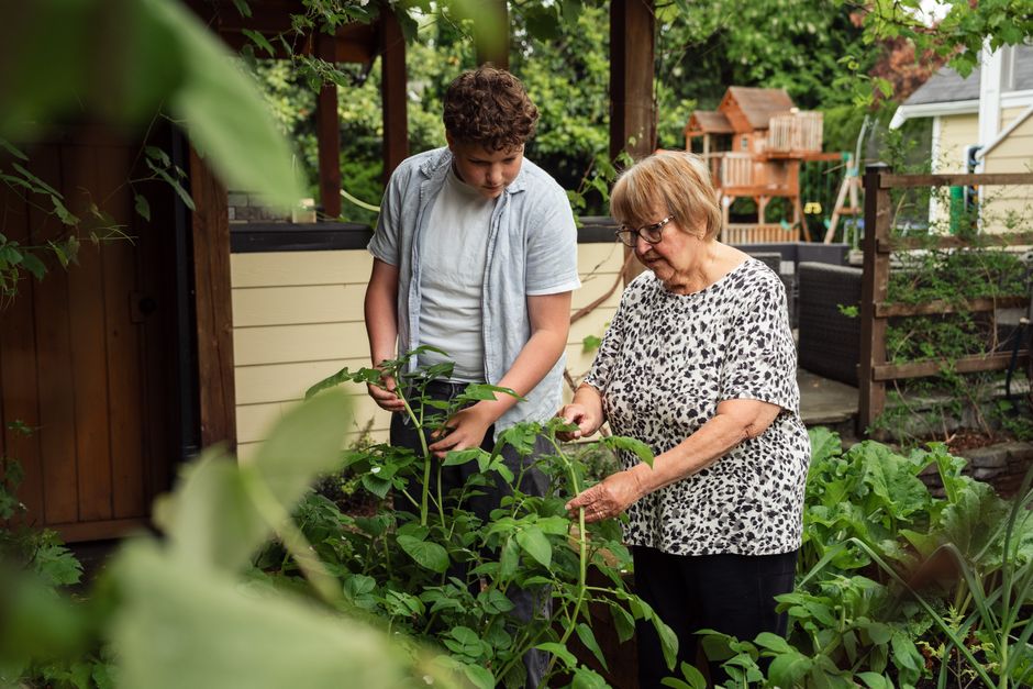 A teenager and senior adult gardening together in a verdant backyard, symbolizing bond and