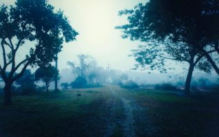 Morning walks that turn hot days into a calmer lifestyle