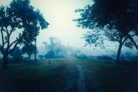 Morning walks that turn hot days into a calmer lifestyle