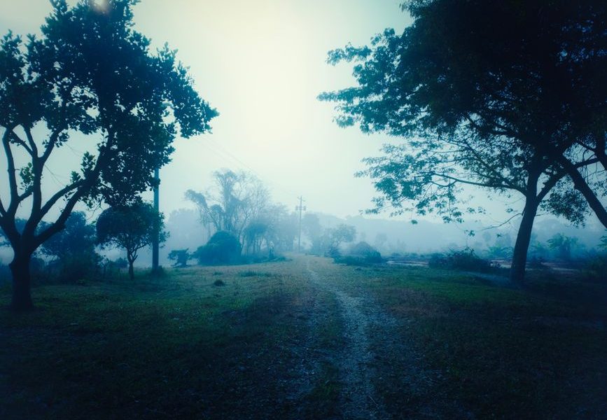 Morning walks that turn hot days into a calmer lifestyle