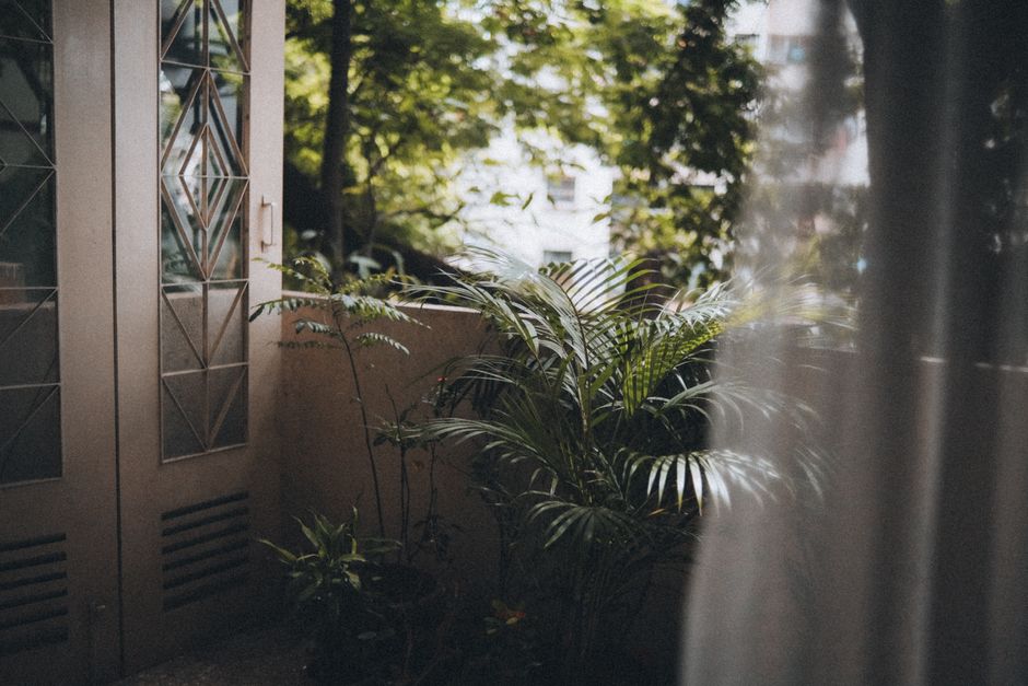 Peaceful balcony adorned with lush greenery and natural light, creating a tropical home oa
