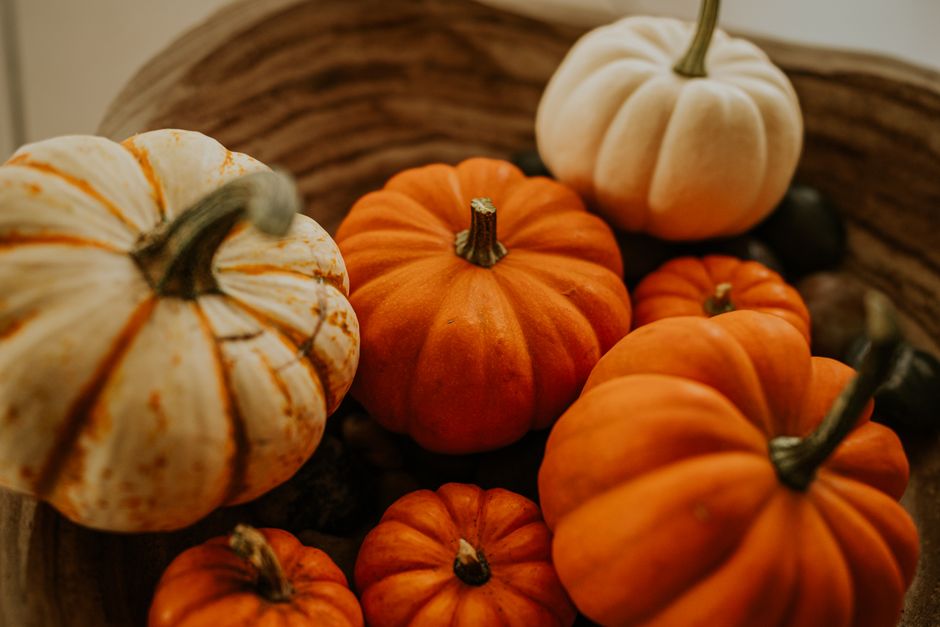 A warm collection of orange and white mini pumpkins in a rustic bowl, perfect for autumn decor.