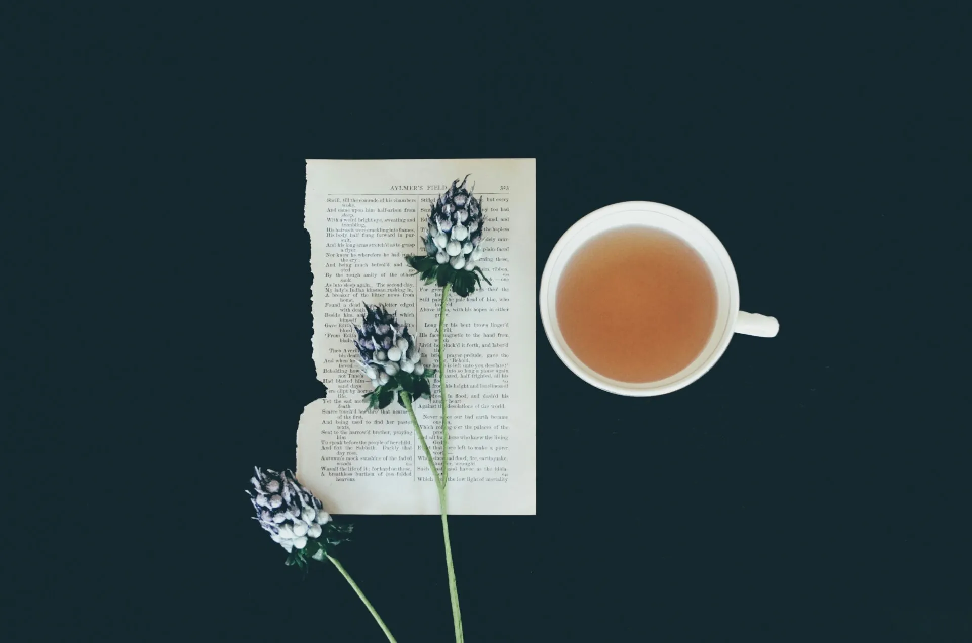 Fresh and Flavorful Tea Blends: A Guide to Perfect Brews