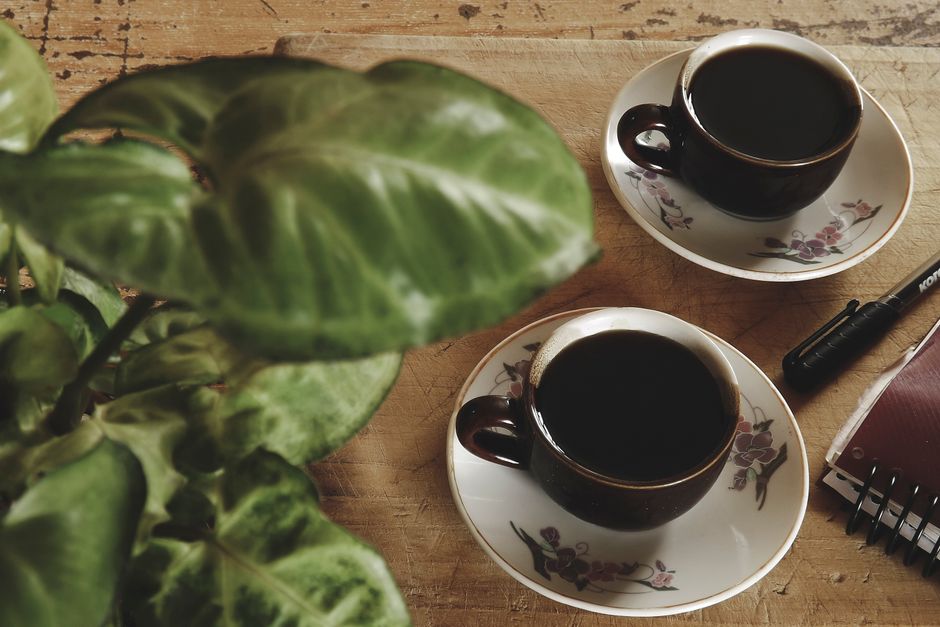 Warm coffee scene with cups on saucers alongside greenery on a rustic wooden table, ideal 